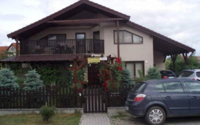 Vila Danka